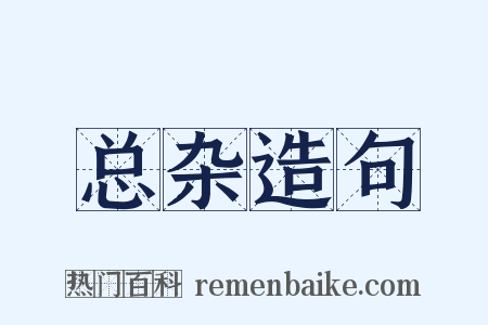 总杂造句是什么意思的图片